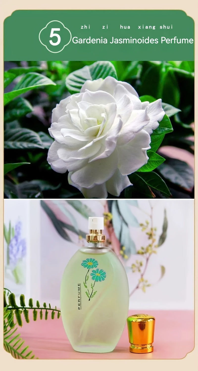 Floral Perfume Fragrance, Eau De Toilette Spray For Women