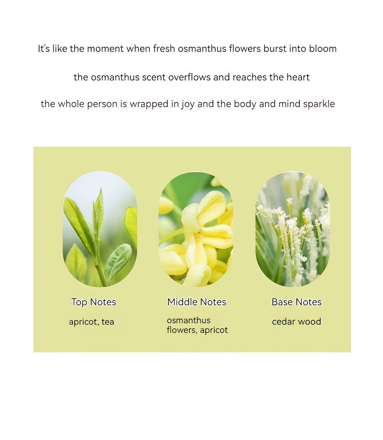 Floral Perfume Fragrance, Eau De Toilette Spray For Women