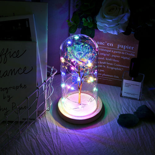 Enchanted Galaxy Rose