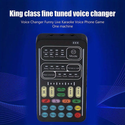 Handheld Voice Changer with 8 Different Sounds, 8 Built in Sound Effects, Surprise, High Device Compatibility, Small Size, Plug and Play