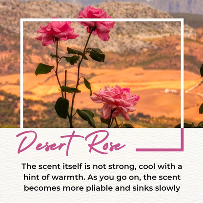 0.34oz Perfume Oil Roll On