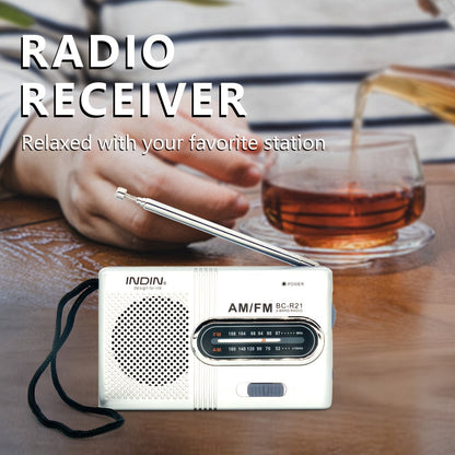 Classic Travel AM/FM Radio with USB, Telescopic Antenna, Stereo Speakers